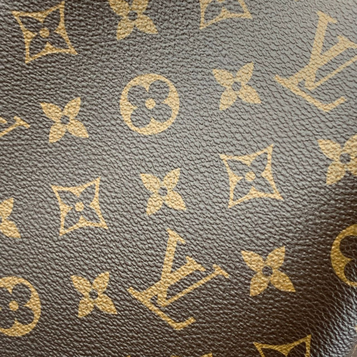 LV NéoNoé BB Monogram Canvas Bucket Bag