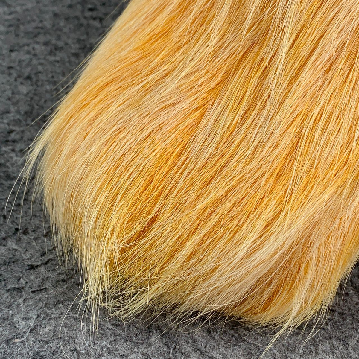 Marni Fussbett Sabot 'Yellow'