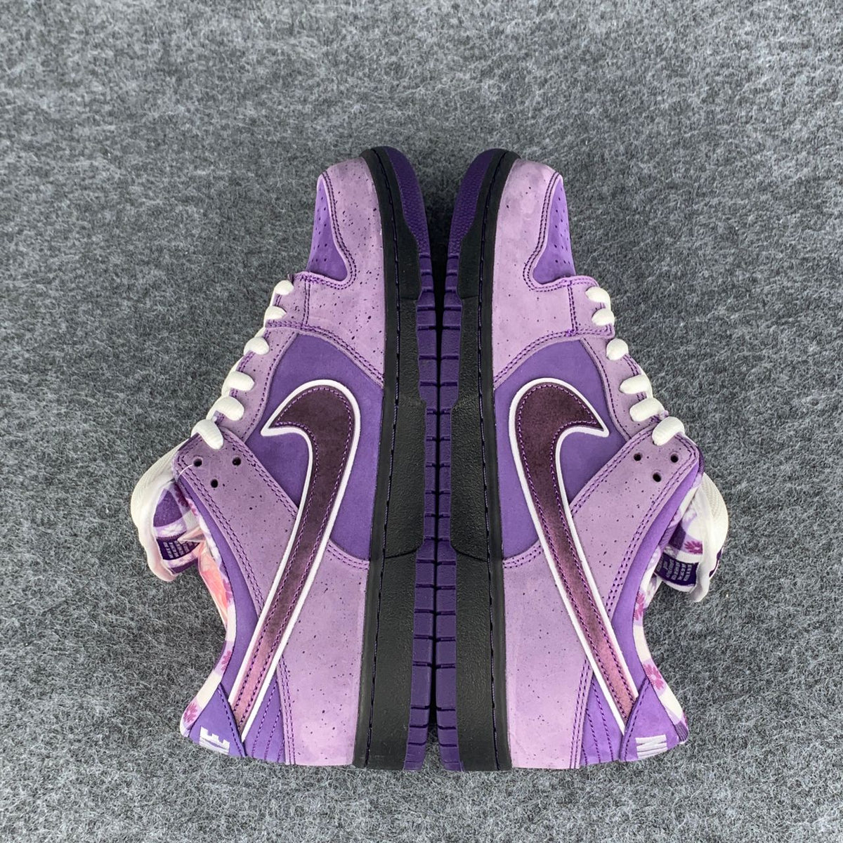 Concepts x Dunk Low SB 'Purple Lobster'
