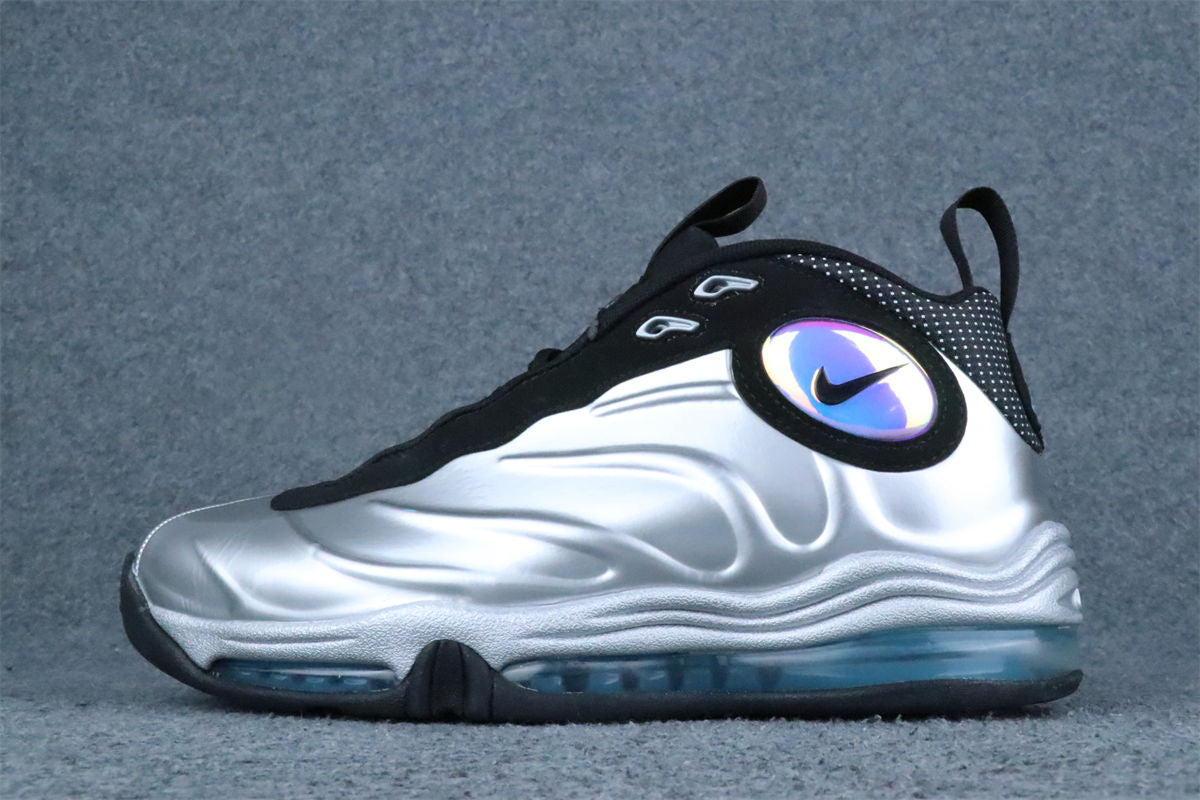 Nike Total Air Foamposite Max 'Metallic Silver' 2011