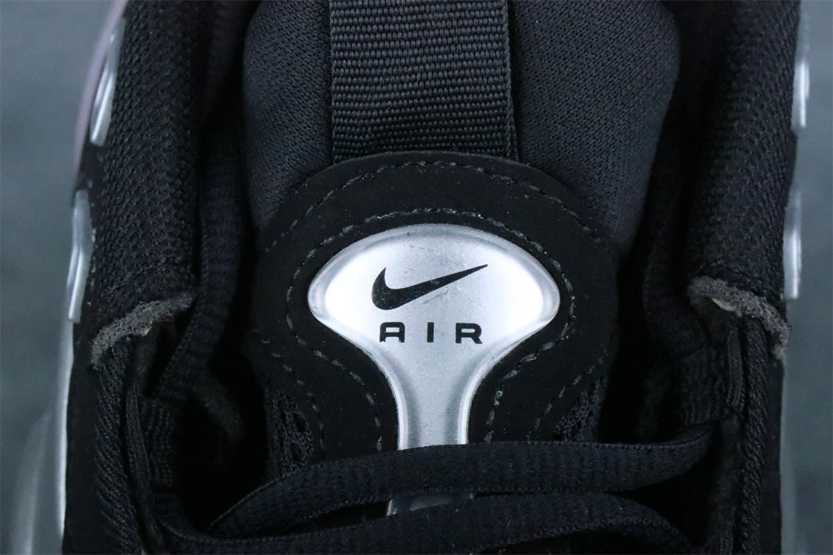 Nike Total Air Foamposite Max 'Metallic Silver' 2011
