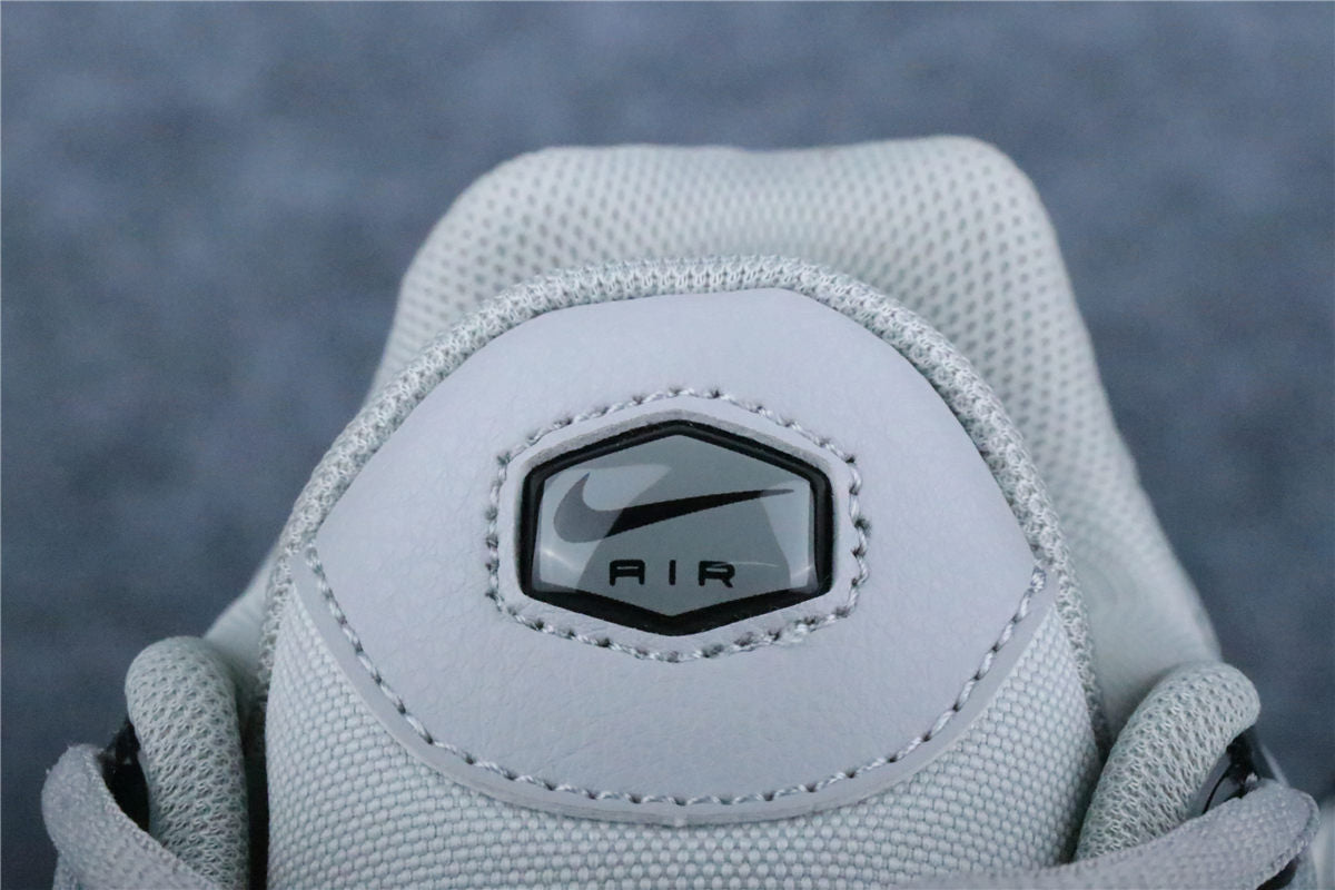 Nike Air Max Plus 'Wolf Grey'