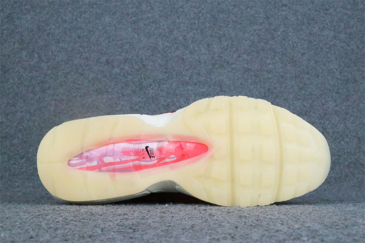 Nike Air Max 95 'Anatomy Of Air'