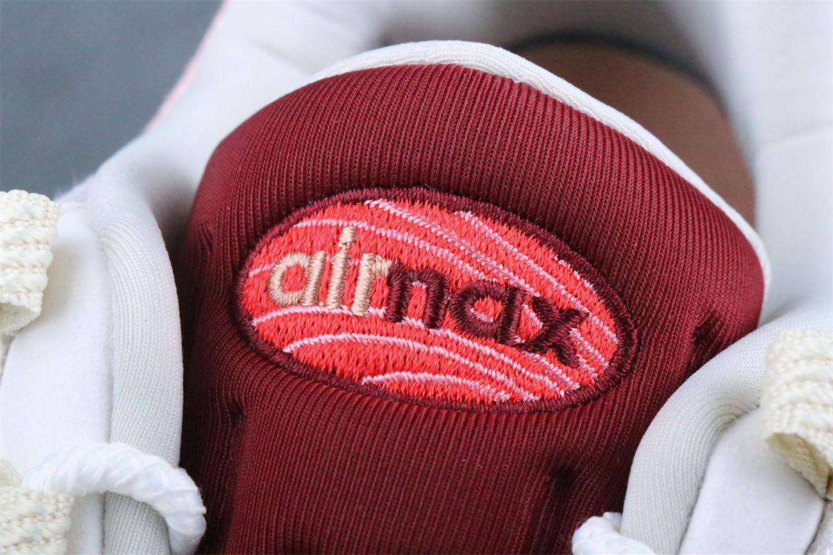 Nike Air Max 95 'Anatomy Of Air'