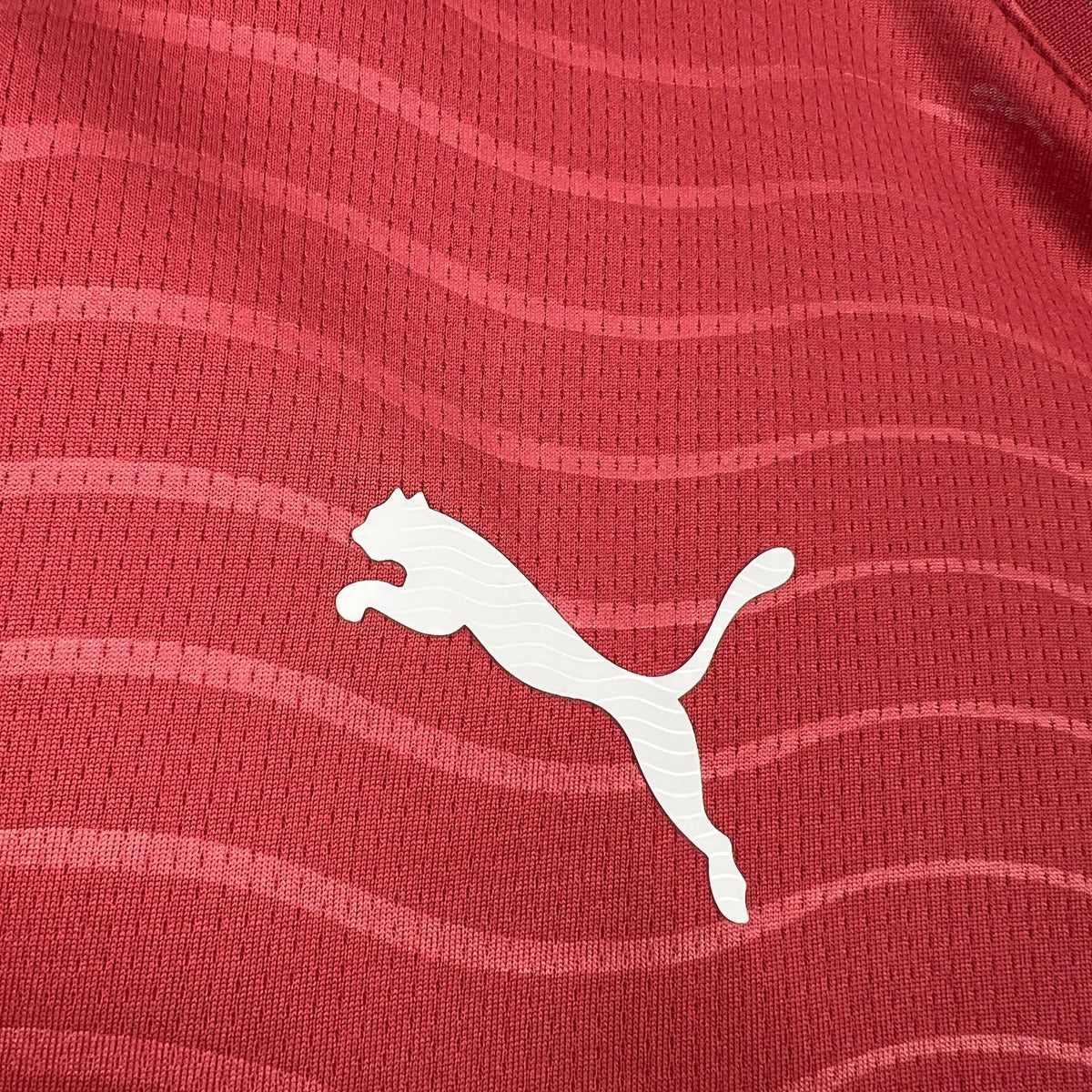 Portugal World Cup 2026 Long Sleeve Away Kit  (Please put your preferred number and name in the order note)